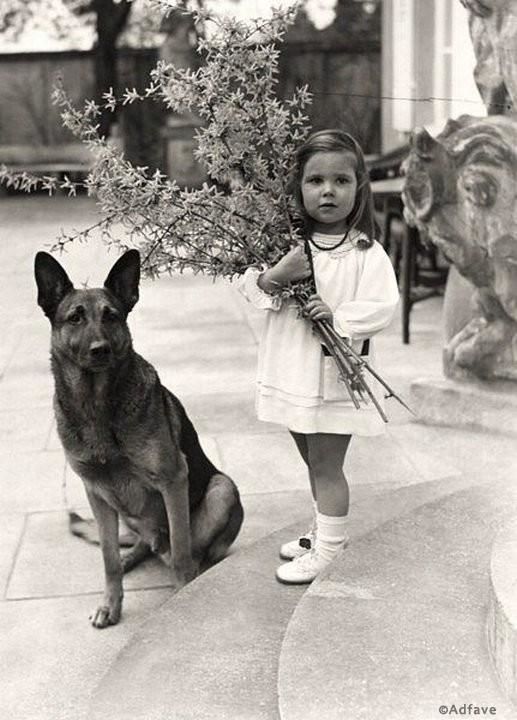 Хельга Геббельсс любимой собакой Гитлера