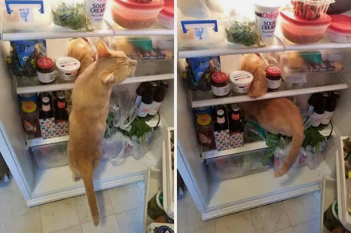 В холодильнике