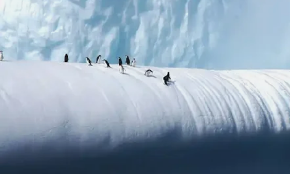 Антарктида - самое холодное место на Земле