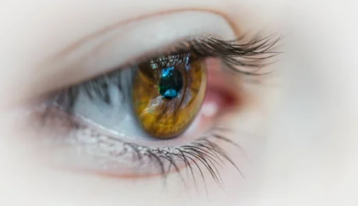 10 продуктов, которые улучшают зрение в любом возрасте, особенно после 50