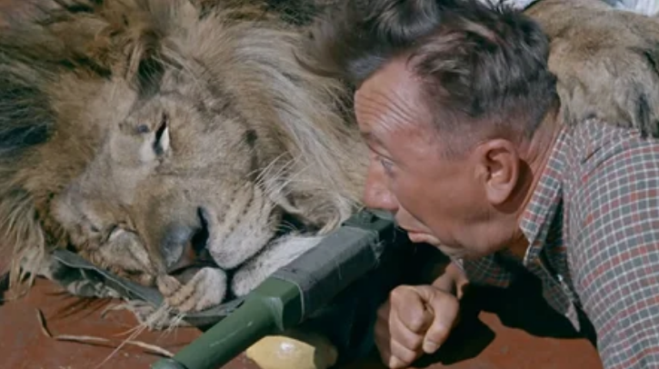 Самые известные животные - актеры советского кино (и бедный лев Вася, смерть которого мы видели в одном из фильмов)