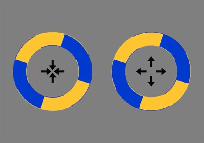 Оптическая иллюзия, в которой круги кажутся смещенными с места, стала интернет-сенсацией