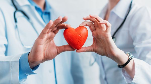 11 интересных фактов о человеческом сердце