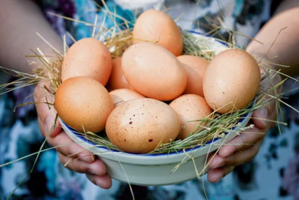 Почему категорически запрещено хранить яйца в холодильнике