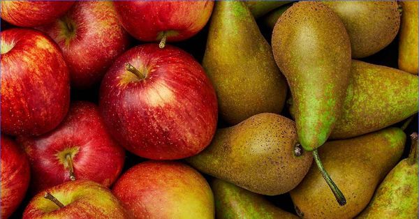 5 ответов на вопрос чем яблоки лучше груш