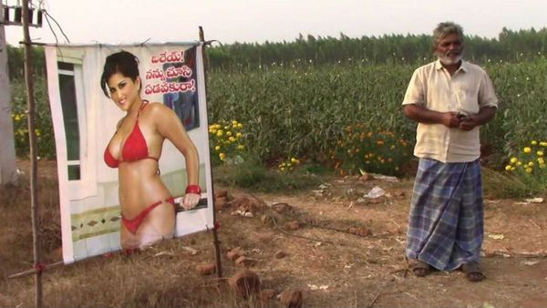 Фермер поставил на поле плакат с порнозвездой для защиты урожая (и он реально у него работает)